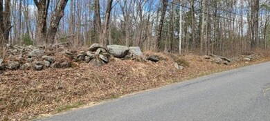 0 Prouty Rd unit 72812046, Hardwick, MA 01031 - photo 2