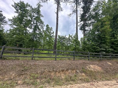 1540 Watson Bailey Rd, Harlem, GA 30814 - photo 4