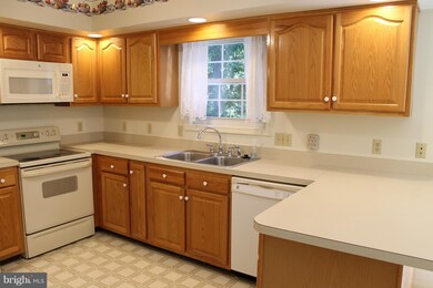 243 Glenridge Dr, Winchester, VA 22602 - photo 7