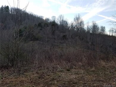 Mountain View from property