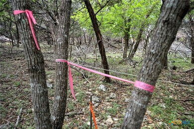 15920 Charlya Dr, Temple, TX 76502 - photo 3