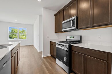 10633 Morse Place, Crown Point, IN 46307 - photo 5