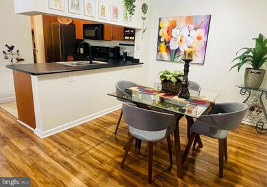 13501 Kildare Hills Terrace, Germantown, MD 20874 - photo 7