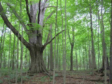 9400 Kress Rd, Roanoke, IN 46783 - photo 2