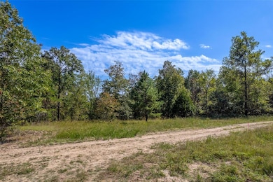 0 Madison Cr 411 (120c) unit 120c, Fredericktown, MO 63645 - photo 6