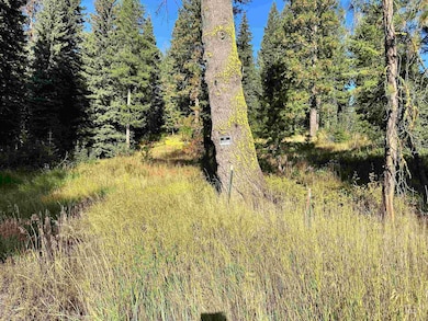 20 Andy, Donnelly, ID 83638 - photo 2