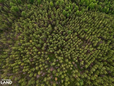 0 Cr 77, Ashland, AL 36251 - photo 7