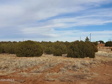 3933 Hidden Ranch Rd unit 56, Snowflake, AZ 85937 - photo 3