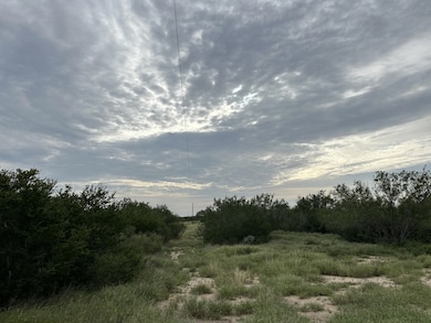 3441 U S Highway 83 unit PARCEL 3-B TX, Zapata, TX 78076 - photo 5