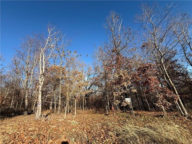 15 Halford Ln, Bella Vista, AR 72715 - photo 4