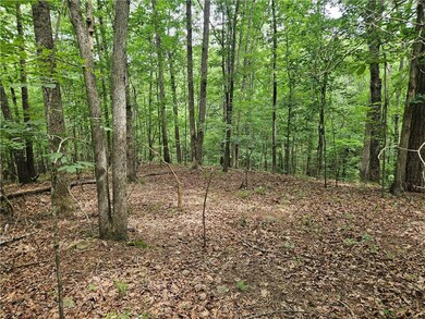 View of wooded area