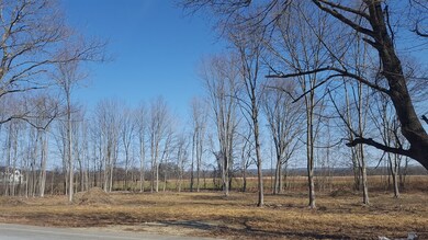 486 Main St, Hatfield, MA 01038 - photo 3