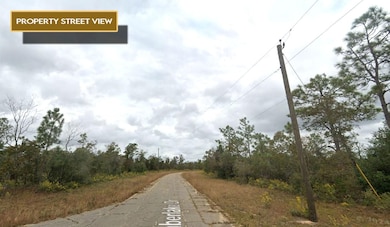 0 Timberlake Dr unit 25712620, Chipley, FL 32428 - photo 4