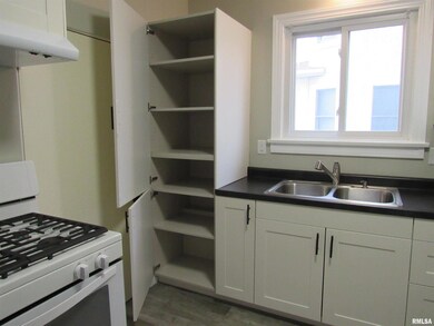 2125 16th St unit Lower, Moline, IL 61265 - photo 6