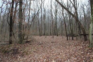 8150 Jacks Run Rd, Freeburg, IL 62243 - photo 7