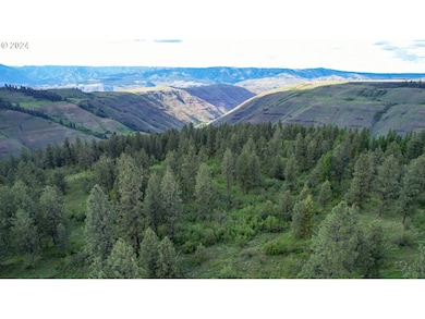 0 Highway 3 St unit 23058297, Enterprise, OR 97828 - photo 2