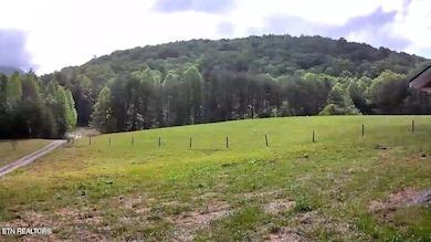 188 Dalton Branch Rd, Tellico Plains, TN 37385 - photo 6