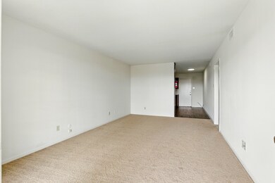 Spacious Living Room Open to the Kitchen.