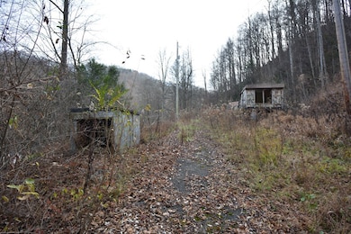 1067 Red Dog Rd, Grundy, VA 24614 - photo 3