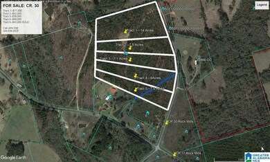 3619 County Road 30 unit Tract 2, Roanoke, AL 36274 - photo 4