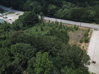 0 Marvin Hancock Dr, Jasper, TX 75951 - photo 4