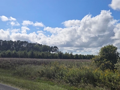 0 Blewer, Cope, SC 29038 - photo 6