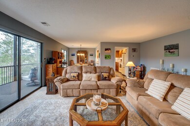 429 Deer Path Ln unit 103, Gatlinburg, TN 37738 - photo 6