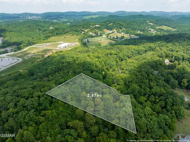 Lot 56 Blue Byrd Ln, Kodak, TN 37764 - photo 5
