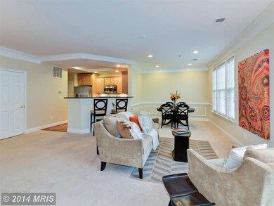 7122 Mason Grove Ct unit 34, Alexandria, VA 22306 - photo 7