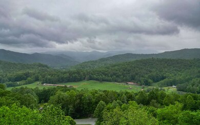 Additional View