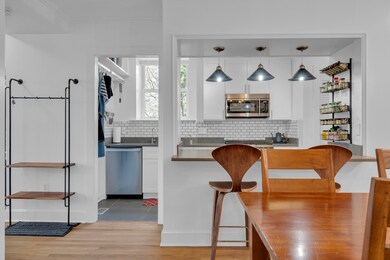 232 Summit Ave unit A1, Brookline, MA 02446 - photo 6