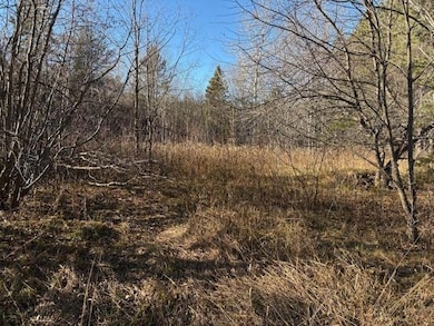 N11561 Black River Rd, Ironwood, MI 49938 - photo 5