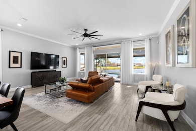 11712 Tetrafin Dr, Riverview, FL 33579 - photo 5