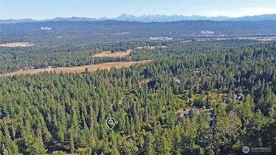 0 NKA Anders Dr, Cle Elum, WA 98922 - photo 6