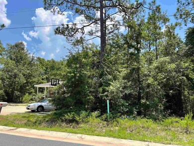 unlisted-address, Crawfordville, FL 32327 - photo 7