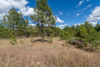 35450 Prairie Ln N unit Lot 2, Creston, WA 99117 - photo 5