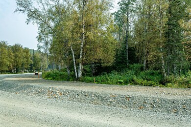 IMG_5248 - Copy