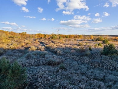 0 Cook Rd, Hector, NY 14886 - photo 3