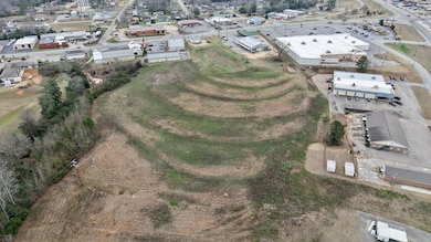 1319 S Brundidge St, Troy, AL 36081 - photo 7