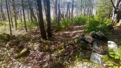 006-016-D Huey, Bristol, ME 04539 - photo 5