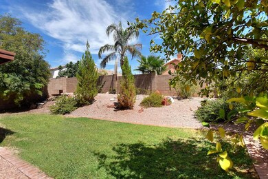 Backyard 3