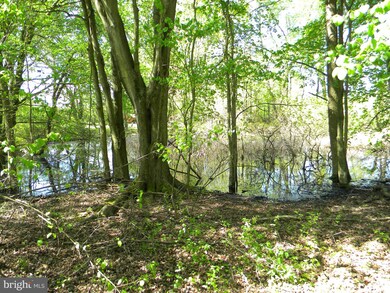 139 W Tomlin Station Rd, Mickleton, NJ 08056 - photo 6