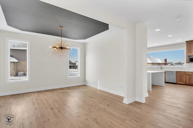 8858 Dunlap Reef Dr, Frankfort, IL 60423 - photo 7