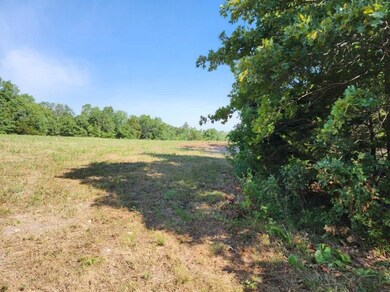 image000005 (33)