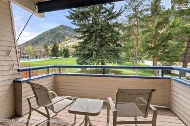 301 E Hyman Ave unit 202, Aspen, CO 81611 - photo 4