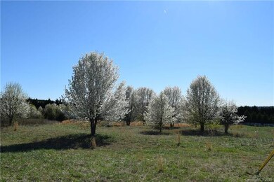 00 Evondale Rd, Crouse, NC 28033 - photo 4