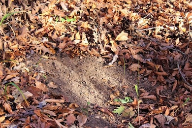 0 Ky 828 Lot unit Wp002, Webbville, KY 41180 - photo 5