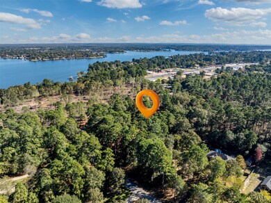 Lot 7 Pintail Dr, Flint, TX 75762 - photo 4