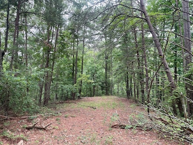 741 Forge Ct, Ranger, GA 30734 - photo 3