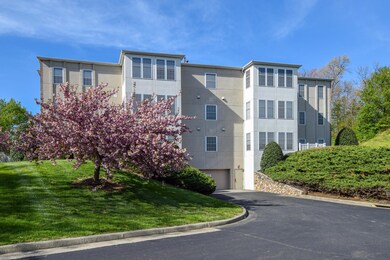 4865 Glen Ivy Ln SW Roanoke VA-large-003